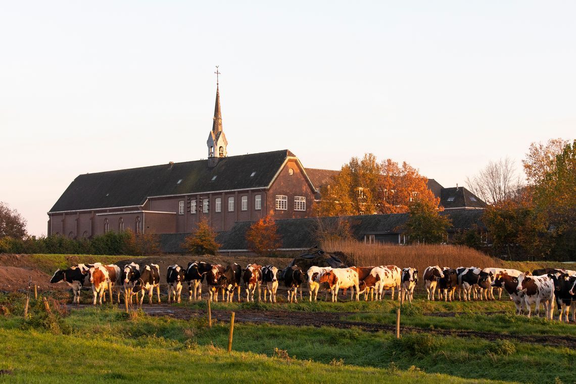Westermarkt